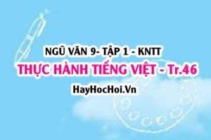 Soạn bài Thực hành tiếng việt trang 46 lớp 9 tập 1 Kết nối tri thức